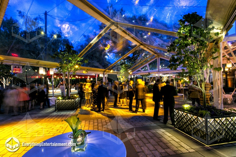 A dazzling 30x50 clear-top tent with LED lights at Tavern on the Green, perfect for an unforgettable corporate after-party.