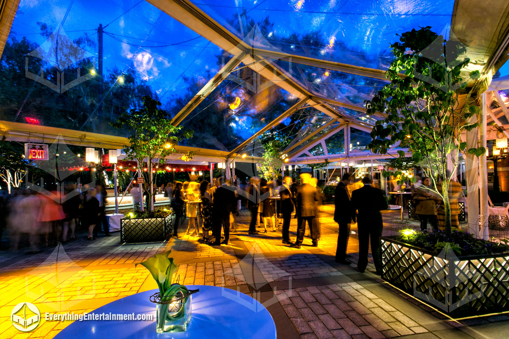 Clear top frame tent at night with amber lighting under a dark blue sky